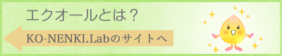 KO-NENNKI.Labサイトへ